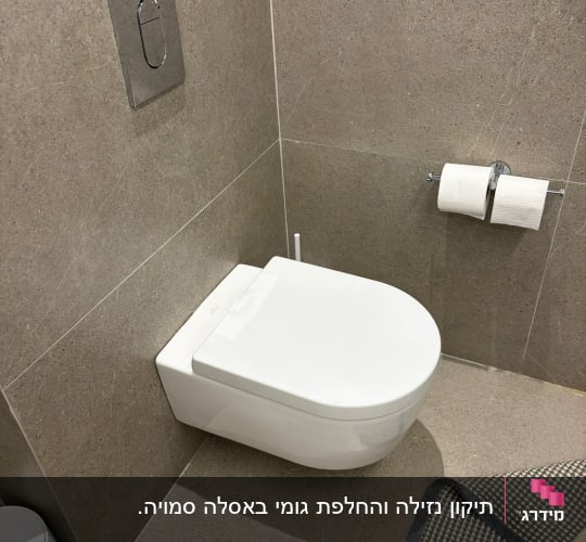 אסלה תלויה עם נייר טואלט על קיר.